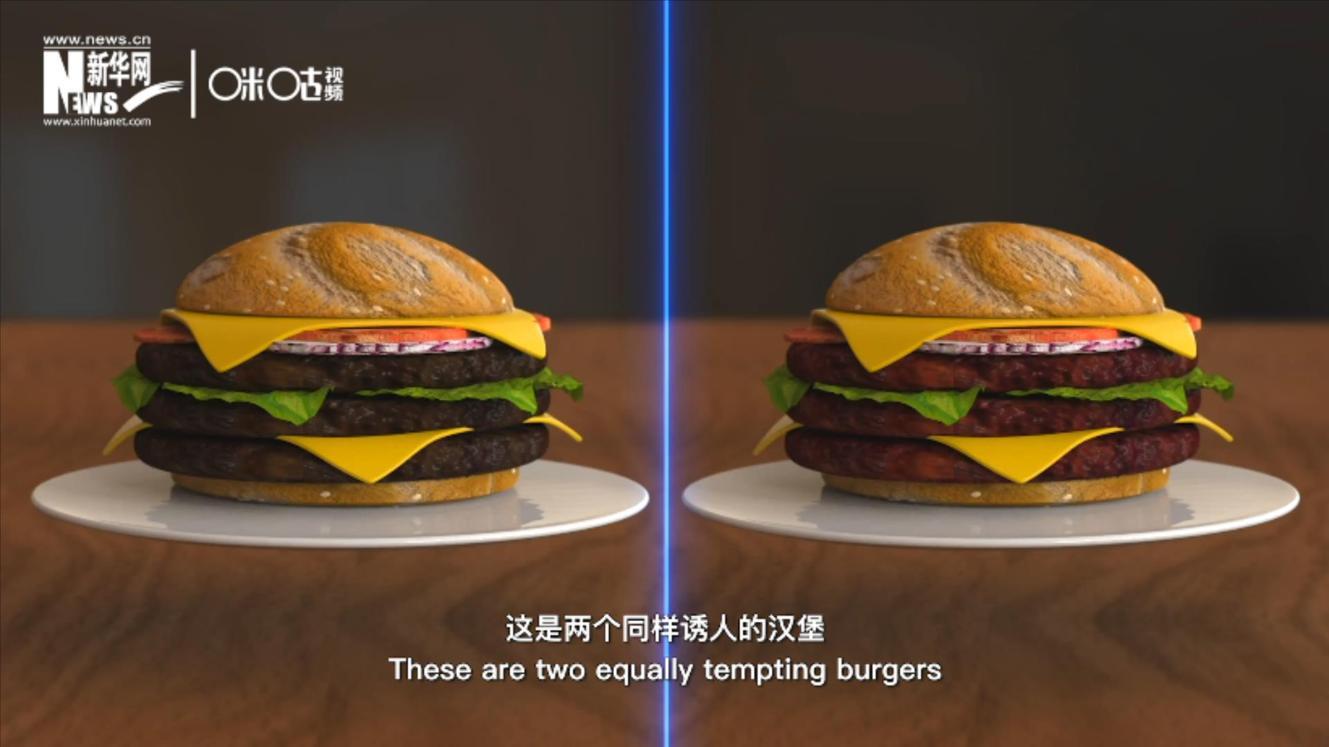 人造肉漢堡能在生產(chǎn)過程中節(jié)約水、土地、排放以及能量