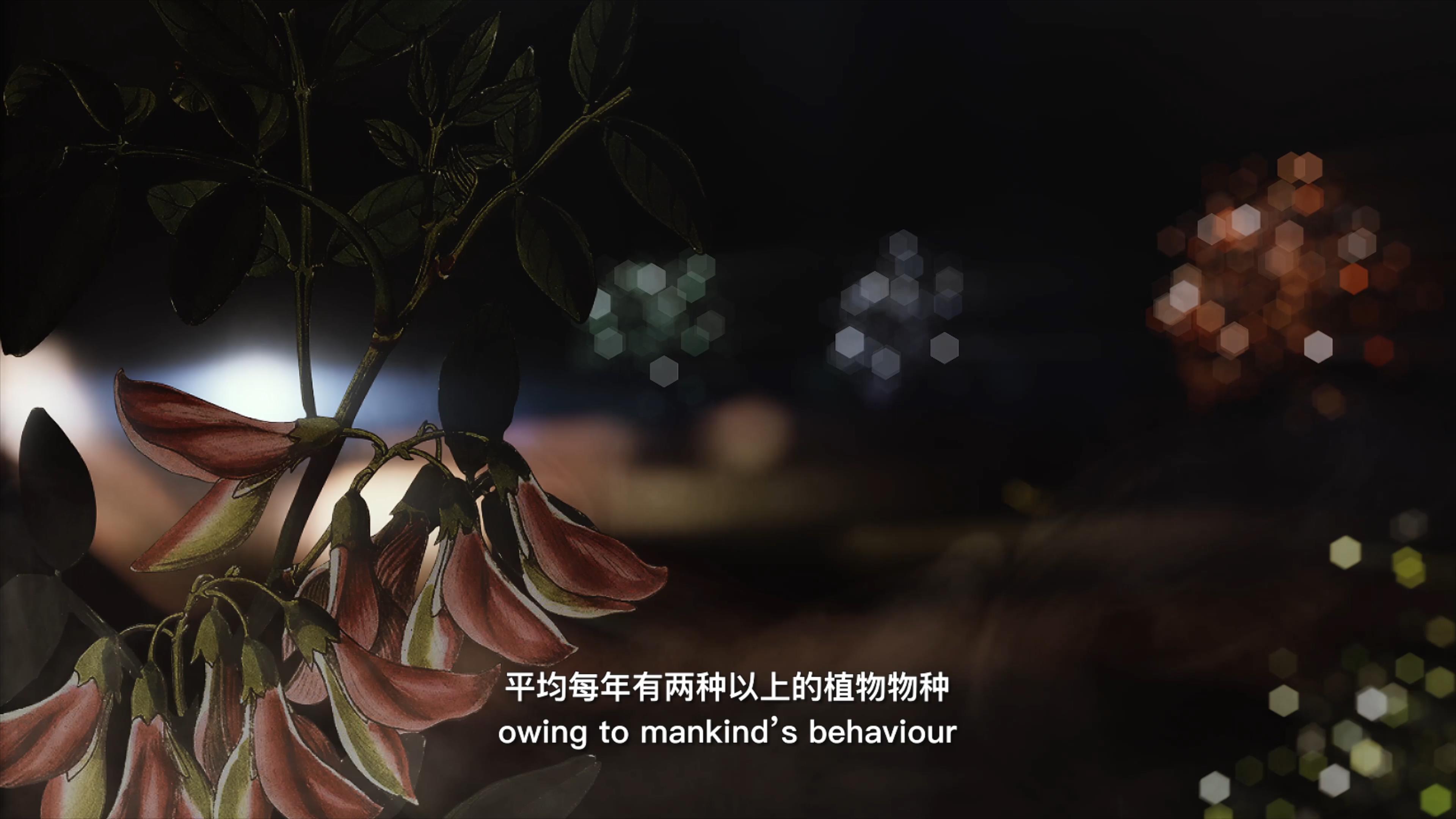 自18世紀(jì)中葉以來(lái)，許多植物物種因?yàn)槿祟惖脑蚨鴱牡厍蛏舷? />      
<div   id=