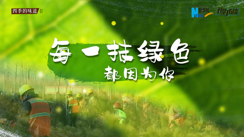 千年秀林，每一抹綠色都因為你