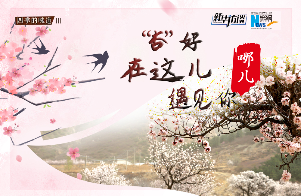 哪兒？“杏”好在這兒遇見你！