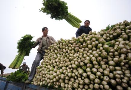 劉永富：發(fā)展產(chǎn)業(yè)脫貧仍是精準(zhǔn)扶貧、精準(zhǔn)脫貧主攻方向