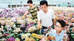 臺商眼中的改革開放：風景這邊獨好 要去，要去，要去！