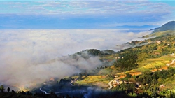 臺胞臺商熱議陜西惠臺“60條”：期盼落實、共享機遇