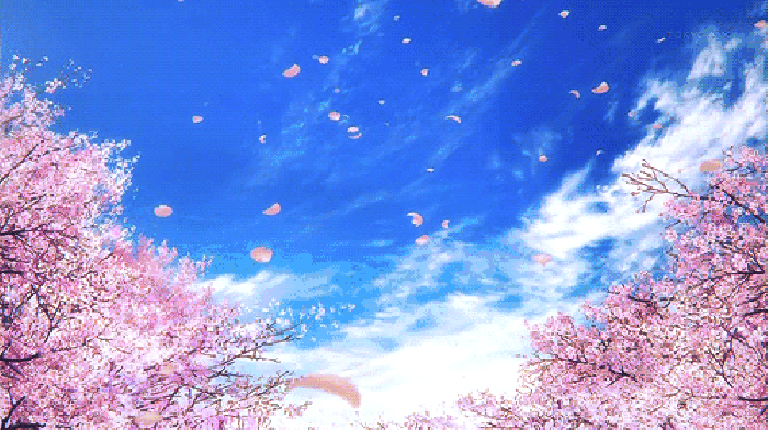 寧波這個地方早櫻花開成海，滿足你對春天的所有想象