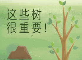 這些樹很重要！