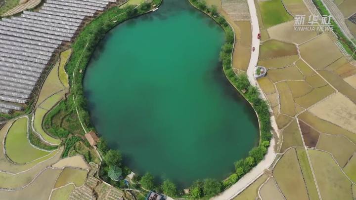 稻田新插，這里的山村美翻了！