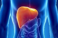 【健康解碼】轉氨酶輕度升高要不要緊？