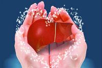 【健康解碼】轉氨酶正常肝臟就一定正常嗎？