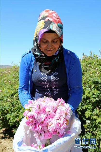 (國際·圖文互動)通訊:土耳其“玫瑰經(jīng)濟(jì)”看好中國市場