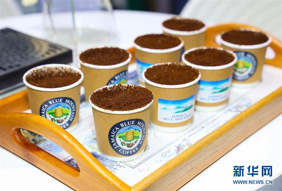 （新華全媒頭條&middot;圖文互動）（15）人間正道 浩蕩前行&mdash;&mdash;習(xí)近平主席出席首屆中國國際進口博覽會紀實