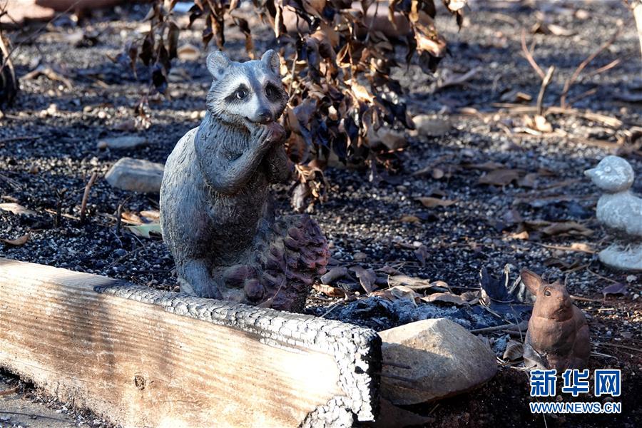 （國(guó)際&middot;圖文互動(dòng)）（4）一場(chǎng)山火，讓這個(gè)冬天格外冷&mdash;&mdash;探訪美國(guó)加州山火災(zāi)區(qū)