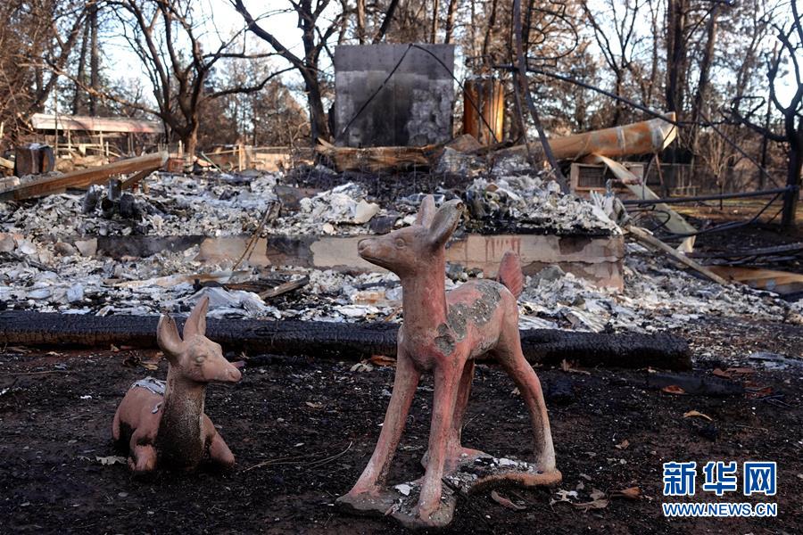 （國(guó)際&middot;圖文互動(dòng)）（6）一場(chǎng)山火，讓這個(gè)冬天格外冷&mdash;&mdash;探訪美國(guó)加州山火災(zāi)區(qū)