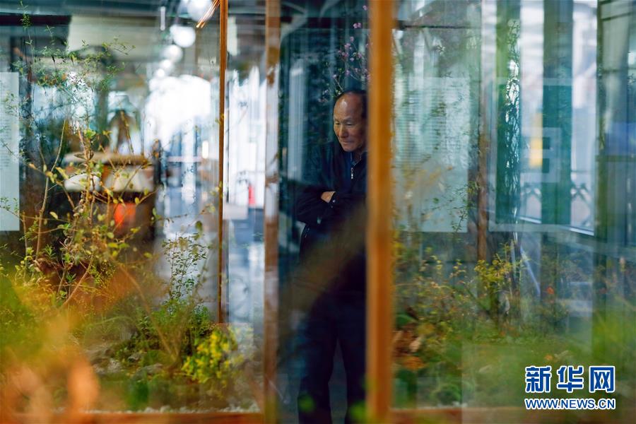 (國際·圖文互動)(4)通訊:敲響半島和平鐘聲——走訪韓朝非軍事區(qū)首爾藝術(shù)展