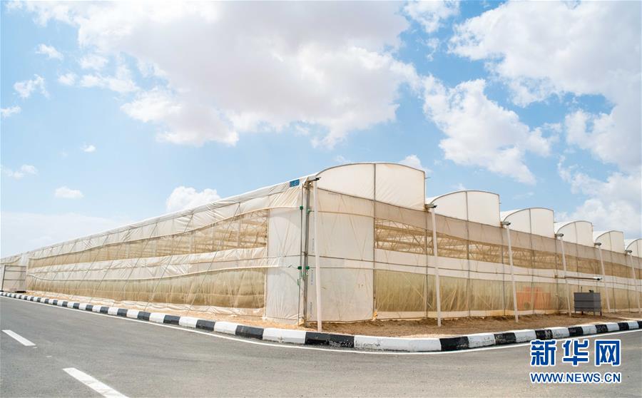 (國際·“一帶一路”高峰論壇·圖文互動)(1)荒漠正在成為瓜果飄香的綠洲——記中國國機重工埃及現代農業(yè)溫室項目