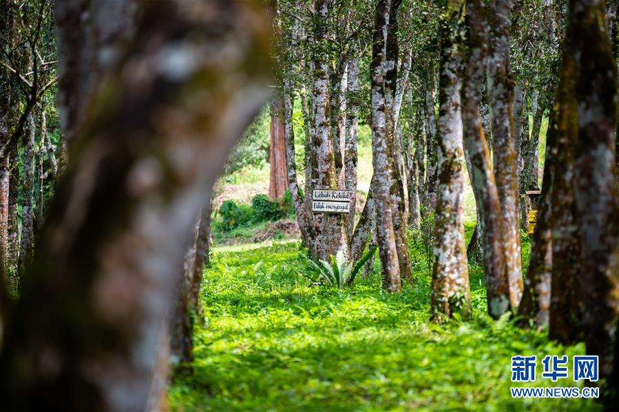 （第三屆進(jìn)博會&middot;圖文互動）（3）專訪：進(jìn)博會提供了一個共享中國發(fā)展機(jī)遇的平臺