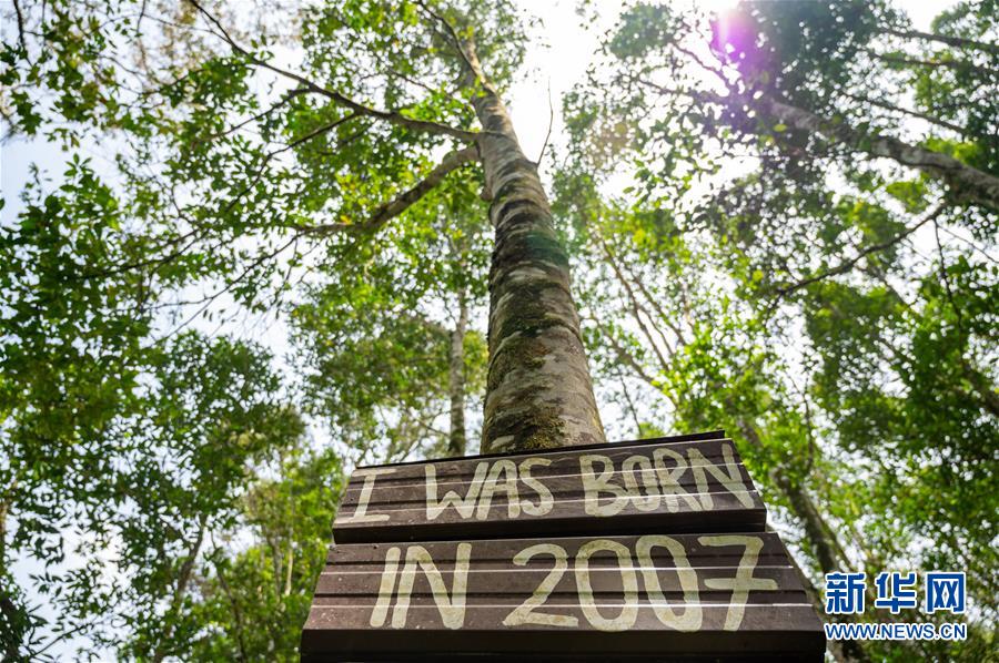 （第三屆進(jìn)博會&middot;圖文互動）（4）專訪：進(jìn)博會提供了一個共享中國發(fā)展機(jī)遇的平臺