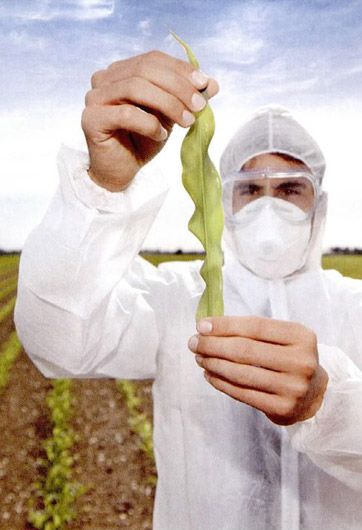 轉(zhuǎn)基因&ldquo;轉(zhuǎn)&rdquo;的是什么？